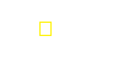 Technology 1 Building Highlight